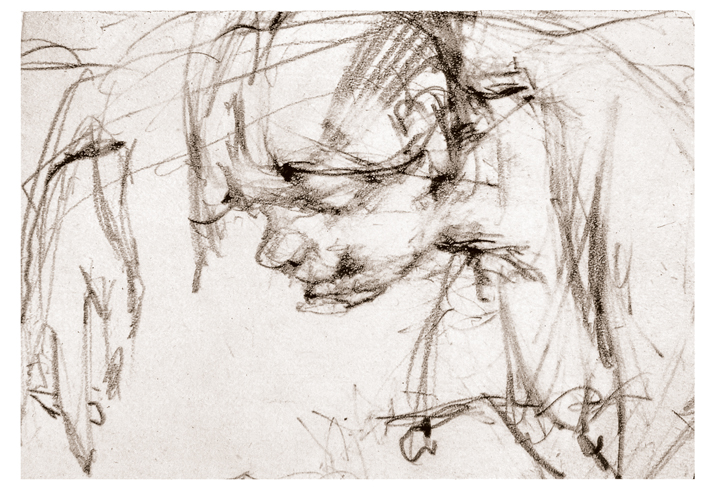  Nicolai Ivanovich Fechin —— 农家男孩